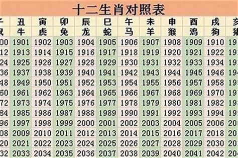 2023年是什么命|2023年属什么生肖 2023年属什么生肖什么命